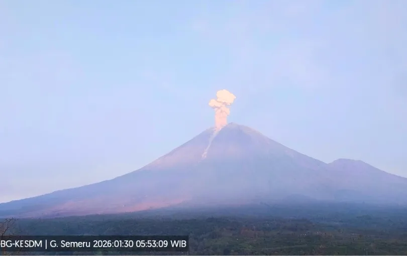 Aktivitas Semeru Memuncak, BPBD Lumajang Catat 101 Kali Erupsi