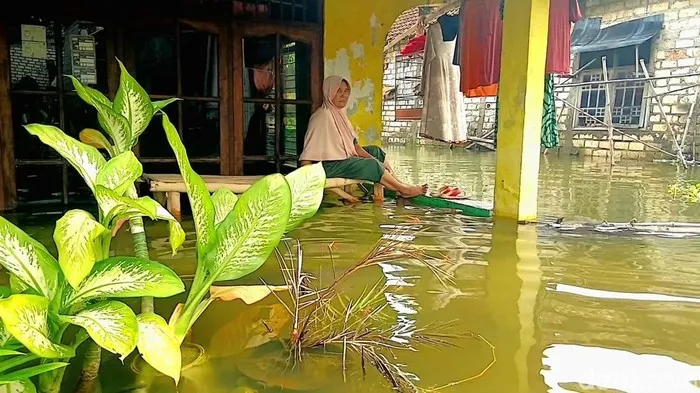 Hujan Deras Picu Luapan Bengawan Jero, Ribuan Rumah di Lamongan Terdampak