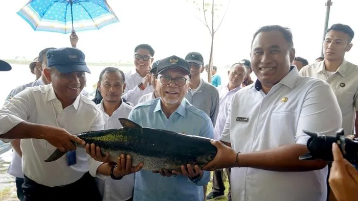 Zulhas Panen Bandeng di Gresik, Dorong Penguatan Ketahanan Pangan Nasional
