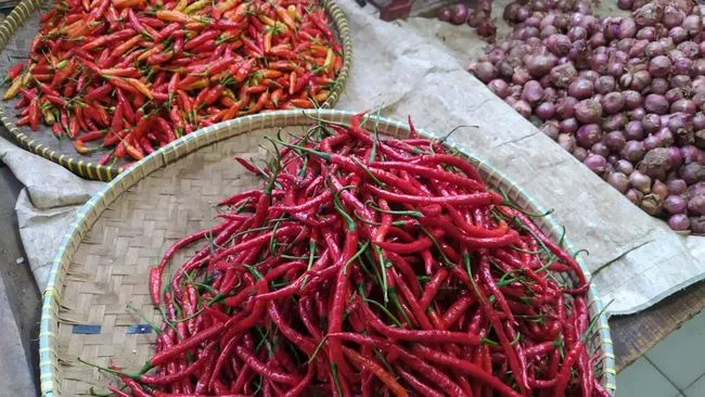 Jelang Ramadan 1447 H, Harga Cabai dan Bawang Merah di Sidoarjo Melonjak Tajam