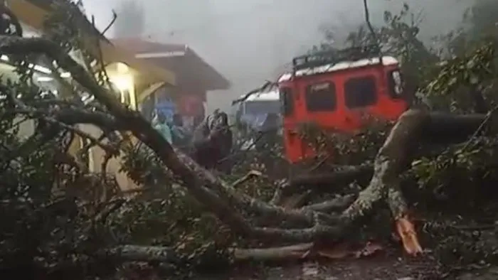 Longsor Terjang Kawasan Gunung Bromo, Tujuh Motor Tertimbun di Bukit Kedaluh
