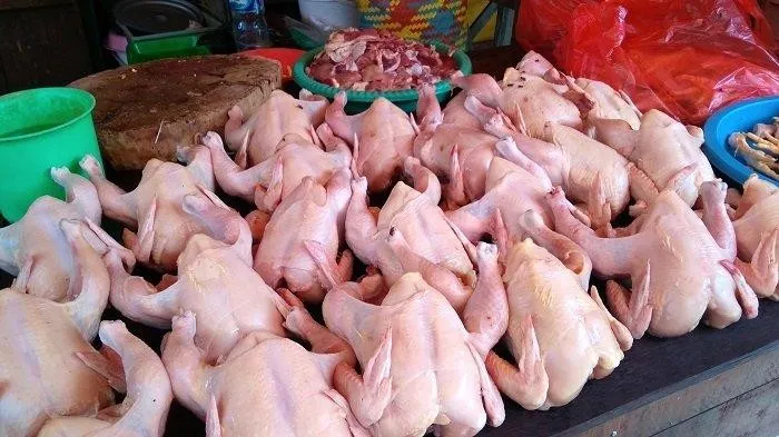 Harga Daging Ayam Ras di Jawa Timur Turun Signifikan, Pedagang Khawatir Rugi