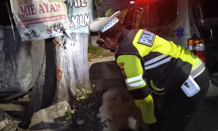Hilang Kendali, Pemotor Tewas Tabrak Pohon di Kletek Sidoarjo
