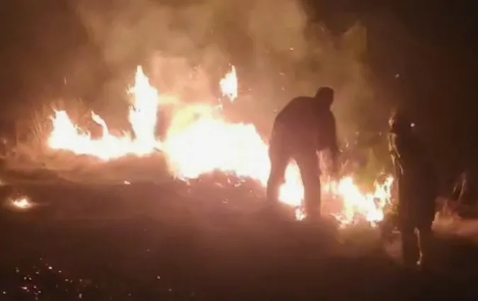 Karhutla Hanguskan 4 Hektare Lahan di Perbukitan Batu Kodok Situbondo, BNPB Dalami Penyebabnya