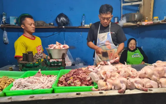 Pasokan Melimpah, Harga Daging Ayam di Situbondo Anjlok hingga Rp20 Ribu