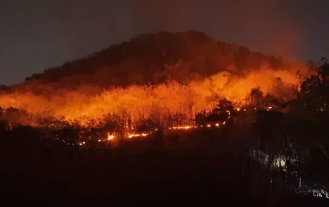 Kebakaran Hutan Landa Lereng Anjasmoro Mojokerto, Titik Api Sulit