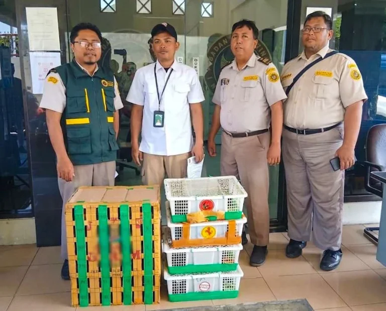 Karantina Jatim Gagalkan Penyelundupan 69 Burung Tanpa Dokumen di Pelabuhan Tanjung Perak Surabaya
