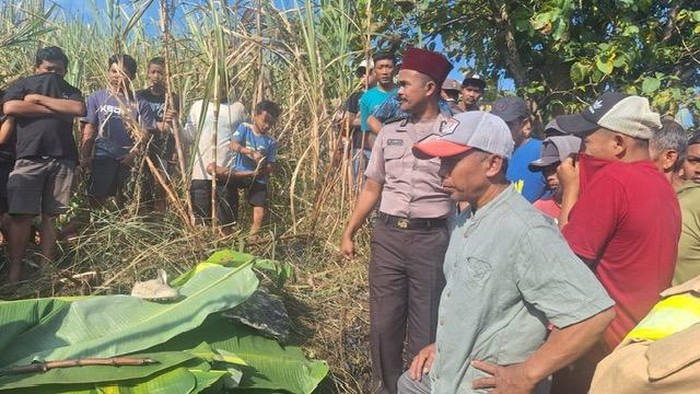 Petani Tebu di Kediri Tewas Terbakar Saat Bakar Daun Tebu Kering