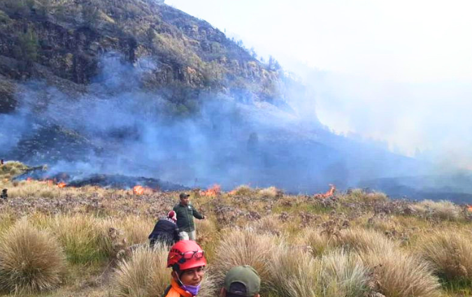 Tim gabungan melakukan upaya pemadaman Karhutla Gunung Bromo.